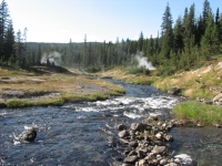 Steam rising from the thermal area